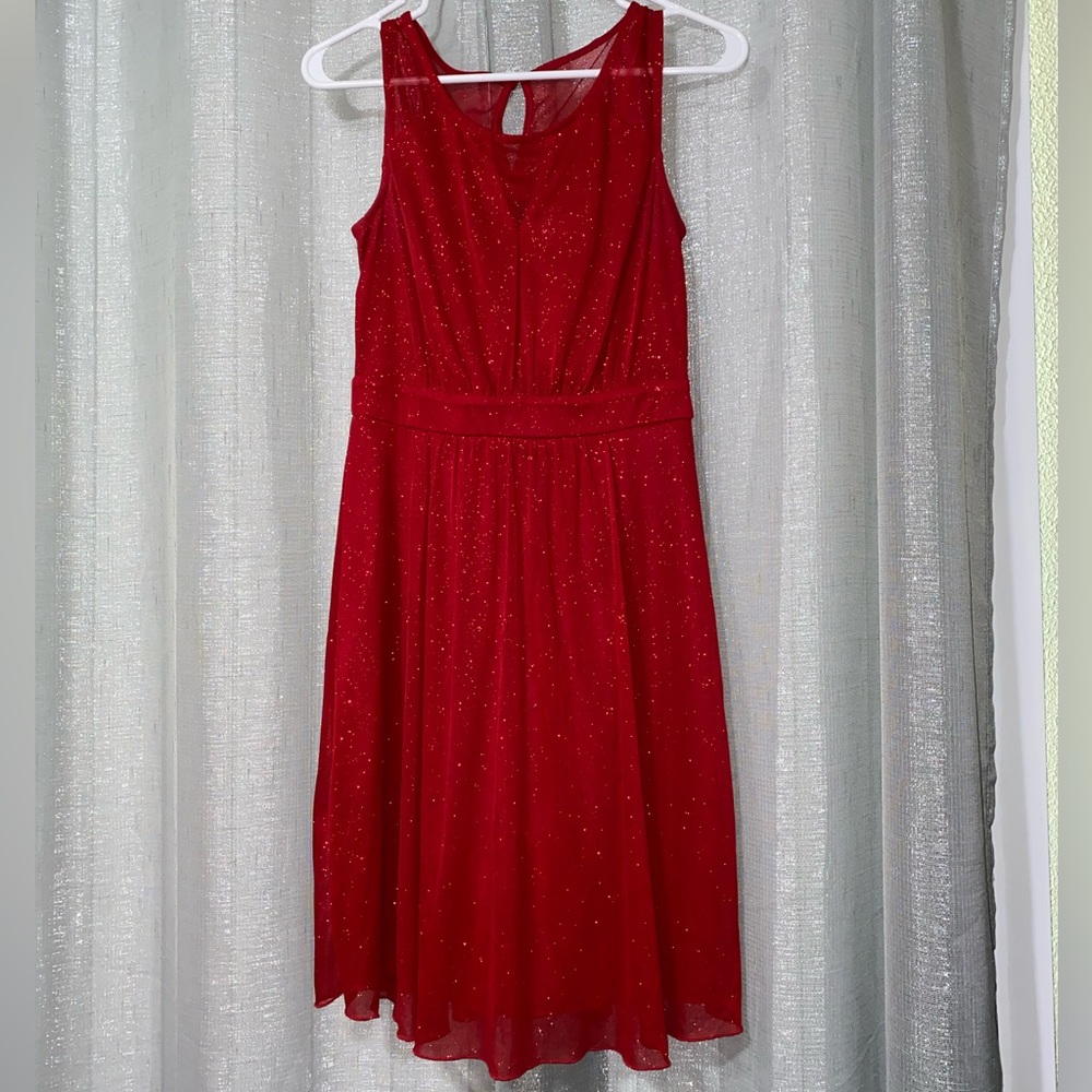 Enfocus Studio Red Dress with Glitter
